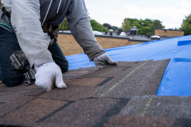 Best Roof Maintenance Services  in Navy Yard City, WA